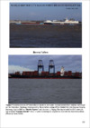 WSS_Haven_Ports_Newsletter_February.pdf thumbnail